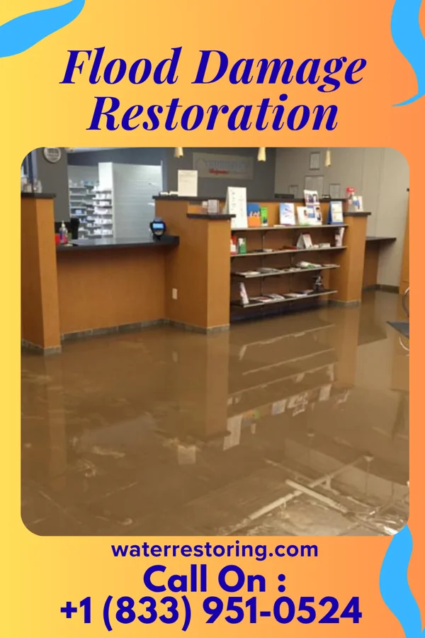 Flood Damage Restoration in Ennis, MT